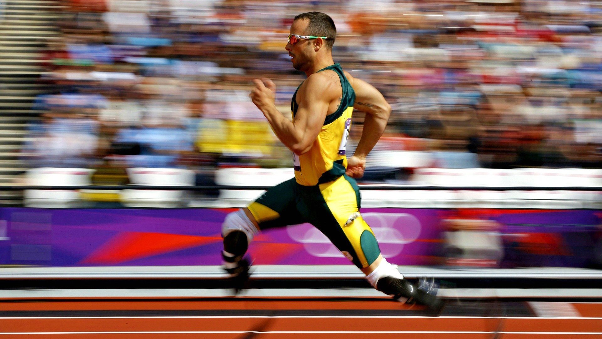 开云平台-未来车载显示屏：互动体验升级，未来汽车显示屏的发展趋势